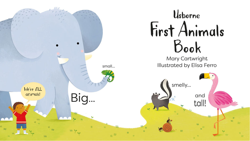 First Animals Book