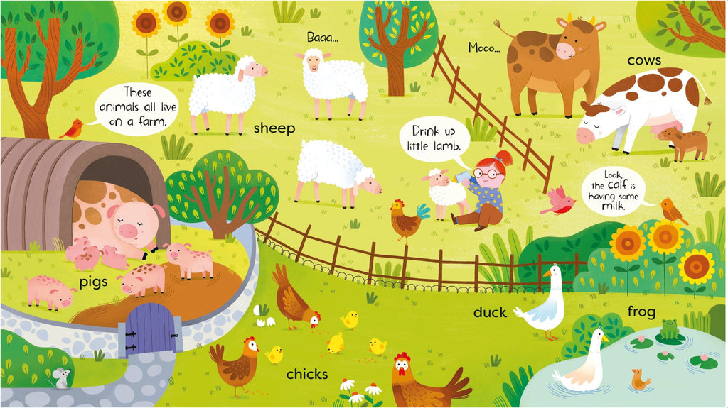 First Animals Book
